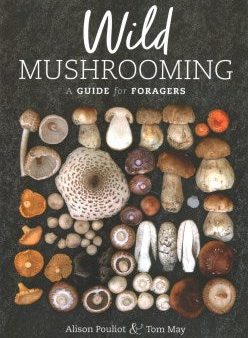 Wild Mushrooming For Discount