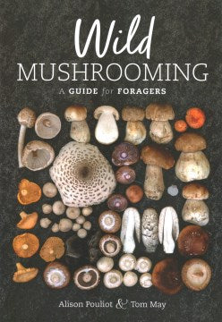 Wild Mushrooming For Discount