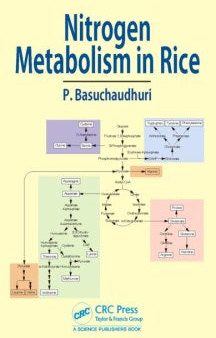 Nitrogen Metabolism in Rice Online Hot Sale