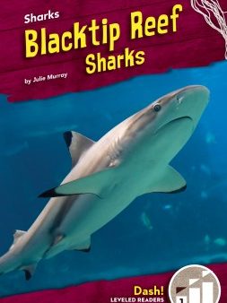 Blacktip Reef Sharks Supply