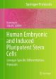 Human Embryonic and Induced Pluripotent Stem Cells Sale