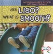 ?Es liso?   What Is Smooth? on Sale