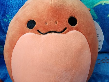 Elson 6  First to Market Squishmallow Supply