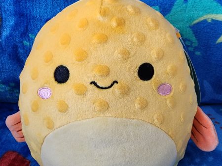 Safa 6  Squishmallow For Cheap